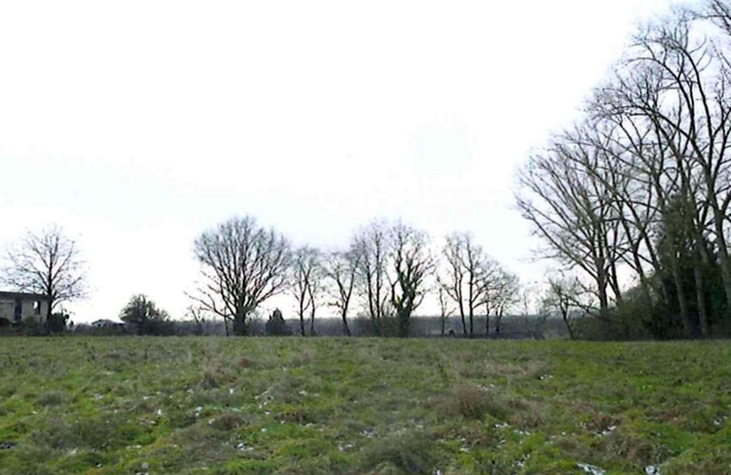 Landwirtschaftsfläche (Grünland) in Escheburg - Bild 4