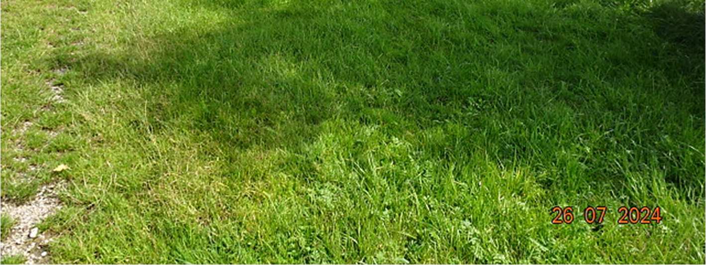 land- und forstwirtschaftlich genutztes Grundstück in null - Bild 3