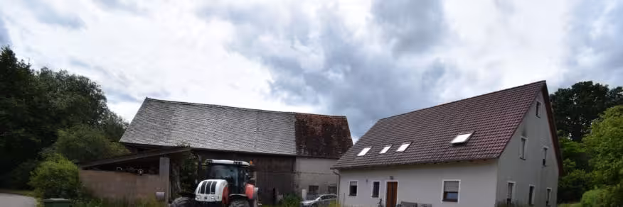 Einfamilienhaus, land- und forstwirtschaftlich genutztes Grundstück in Mörlach - Bild 1