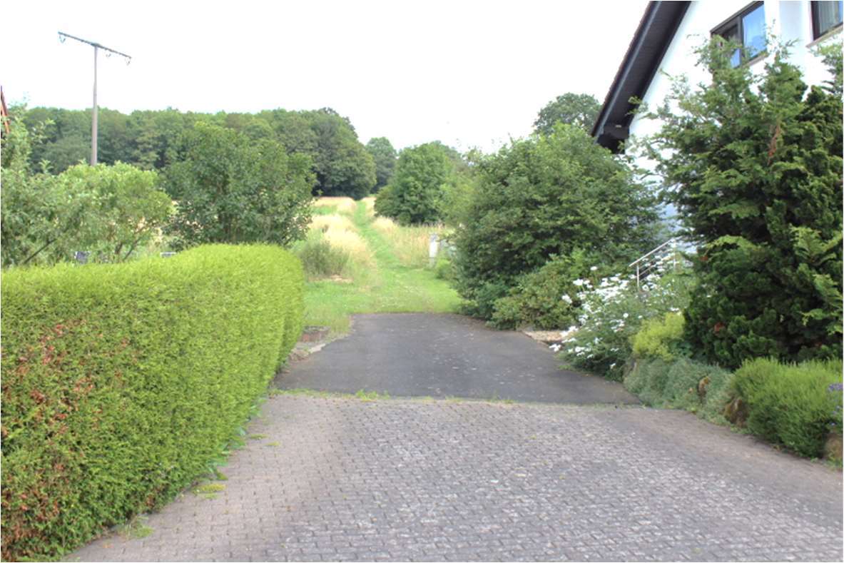 unbebautes Grundstück, land- und forstwirtschaftlich genutztes Grundstück in Niederelbert - Bild 3