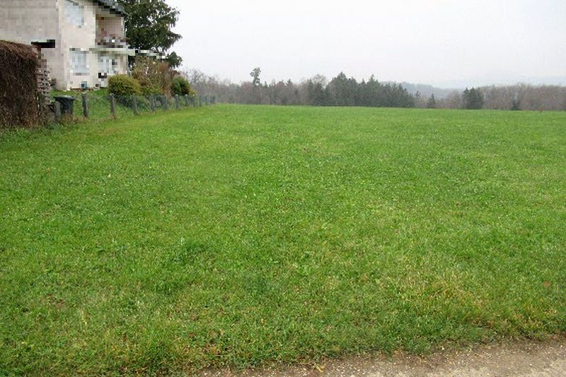 Landwirtschaftsflächen in Börtlingen - Bild 2