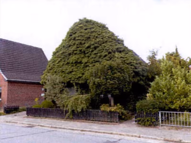 Einfamilienhausgrundstück mit Garage in Marne - Bild 2