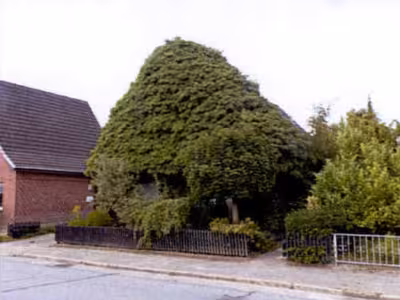 Einfamilienhausgrundstück mit Garage in Wilhelmstraße 110, 25709 Marne - Bild 2