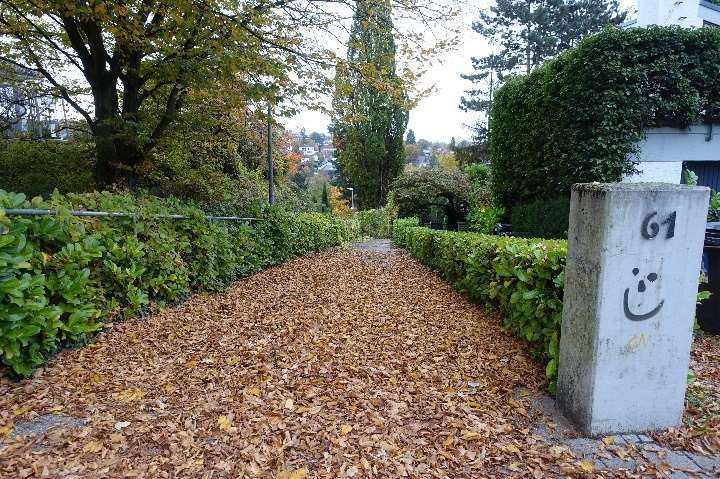 Baugrundstück, unbebautes Grundstück in Wiesbaden - Bild 2