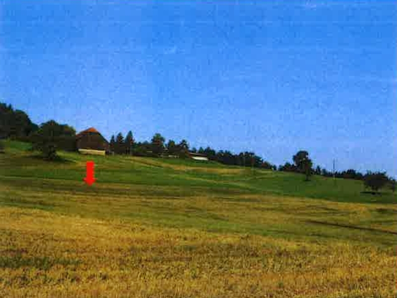 Land-/Forstwirtschaftsflächen in Schwäbisch Gmünd - Bild 4