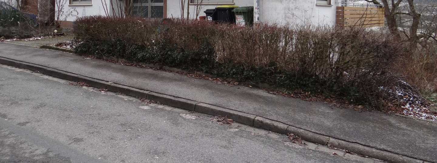 Einfamilienhaus, Garage in Roth a.Forst - Bild 2