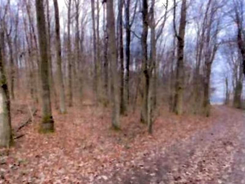 Landwirtschaftsflächen in Neuenstein - Bild 3