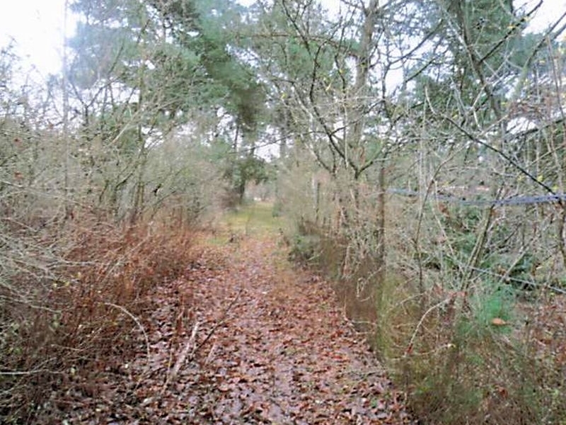 Erholungsfläche und Landwirtschaftsfläche in Fürstenwalde/Spree - Bild 2