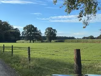 land- und forstwirtschaftlich genutztes Grundstück in Badbergen - Bild 2