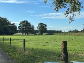land- und forstwirtschaftlich genutztes Grundstück in Badbergen - Bild 2