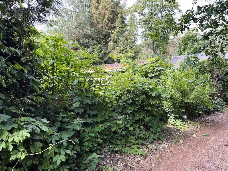 Wochenendhaus in Schönebeck (Elbe) - Bild 2