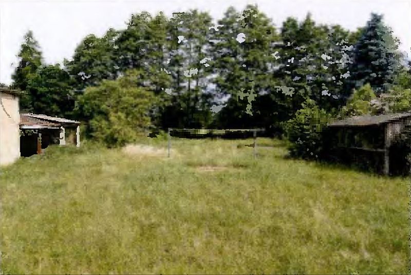 Einfamilienhaus mit Nebengebäuden in Ziegendorf - Bild 3