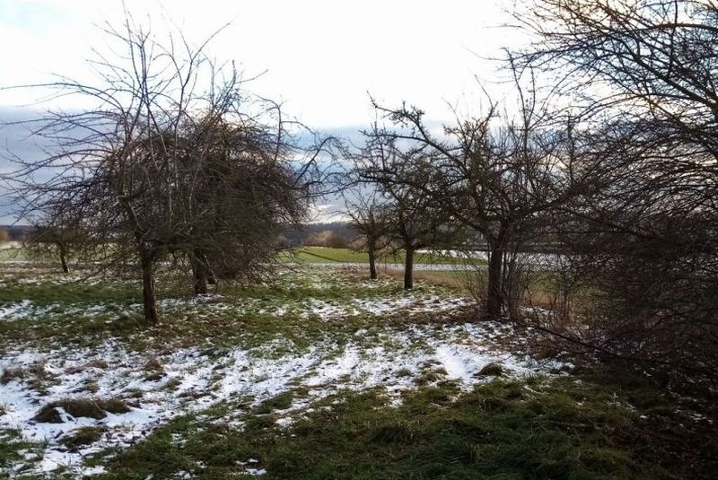 Grundstück, tlw. bebaut mit einsturzgefährdeter Scheune in Schwäbisch Hall - Bild 3