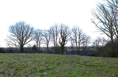 Landwirtschaftsfläche (Grünland) in , 21039 Escheburg - Bild 2