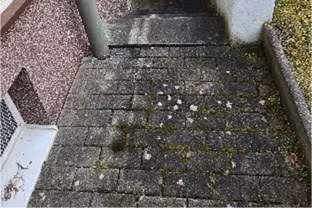 Eigentumswohnung (1 bis 2 Zimmer) in Königsee - Bild 4