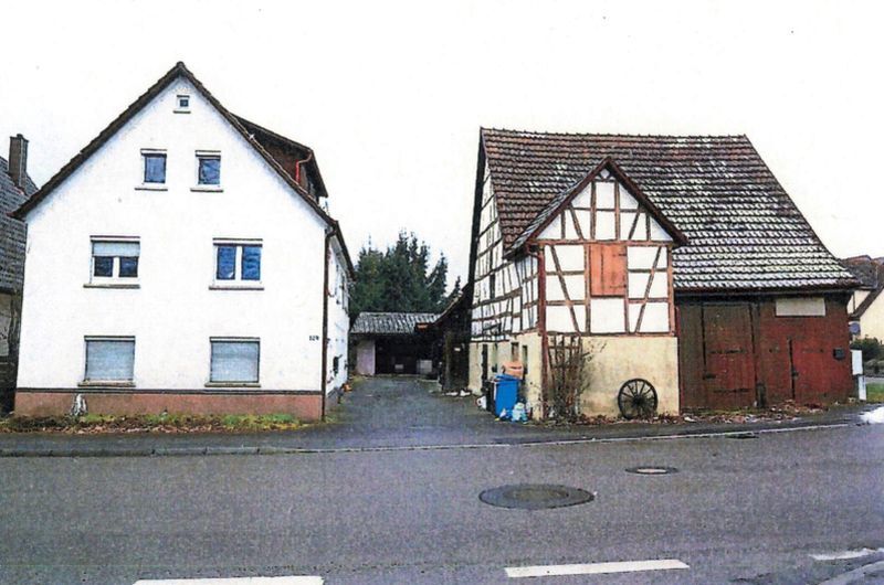 Doppelwohnhaus nebst Doppelgarage und Scheunengebäude in Langenbeutingen - Bild 1