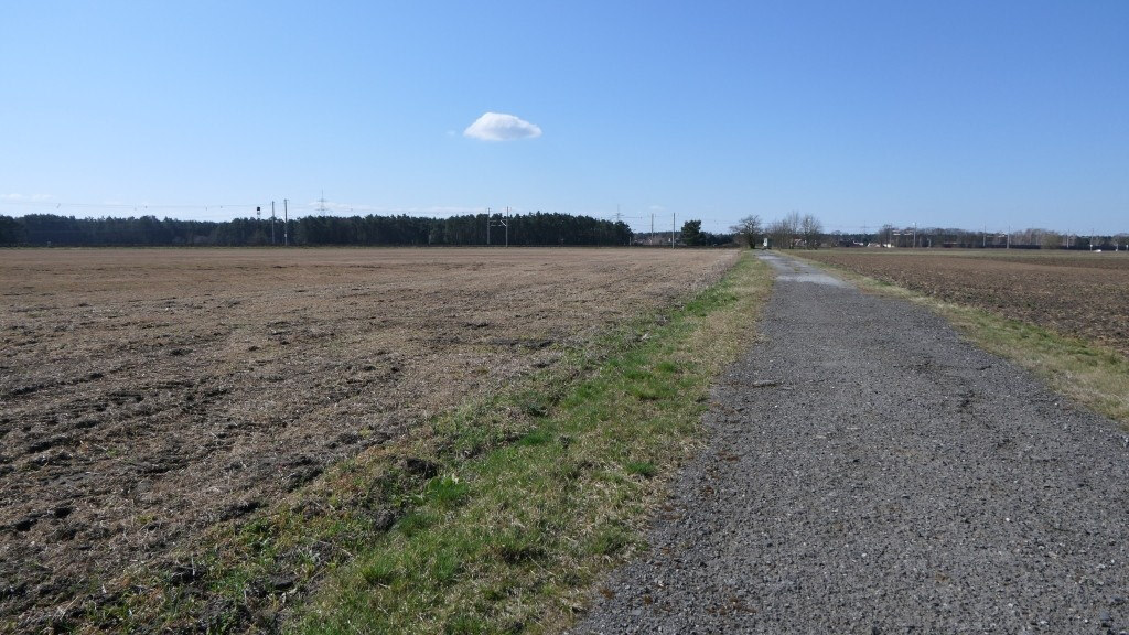 land- und forstwirtschaftlich genutztes Grundstück in Lohsa - Bild 2
