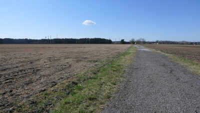 land- und forstwirtschaftlich genutztes Grundstück in ., 02999 Lohsa, Driewitz - Bild 1