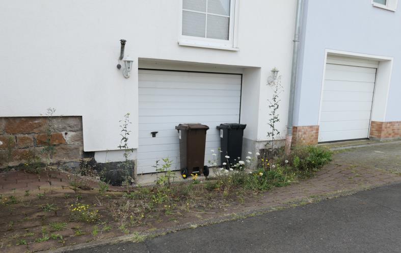 Wohnung in Westuffeln - Bild 3