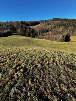 Landwirtschaftsfläche in Anger - Bild 3