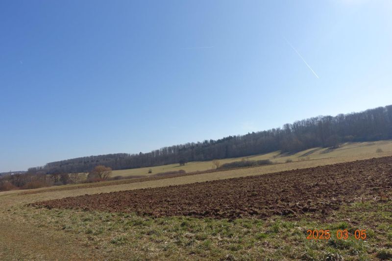 Landwirtschaftsfläche in Böblingen - Bild 1