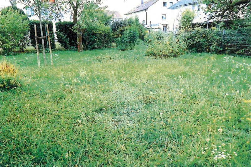 Zweifamilienhaus mit Garage in Friedrichshall - Bild 3