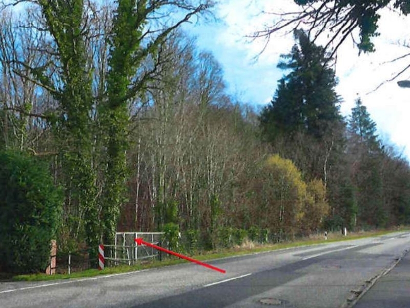 Waldfläche in Escheburg - Bild 3