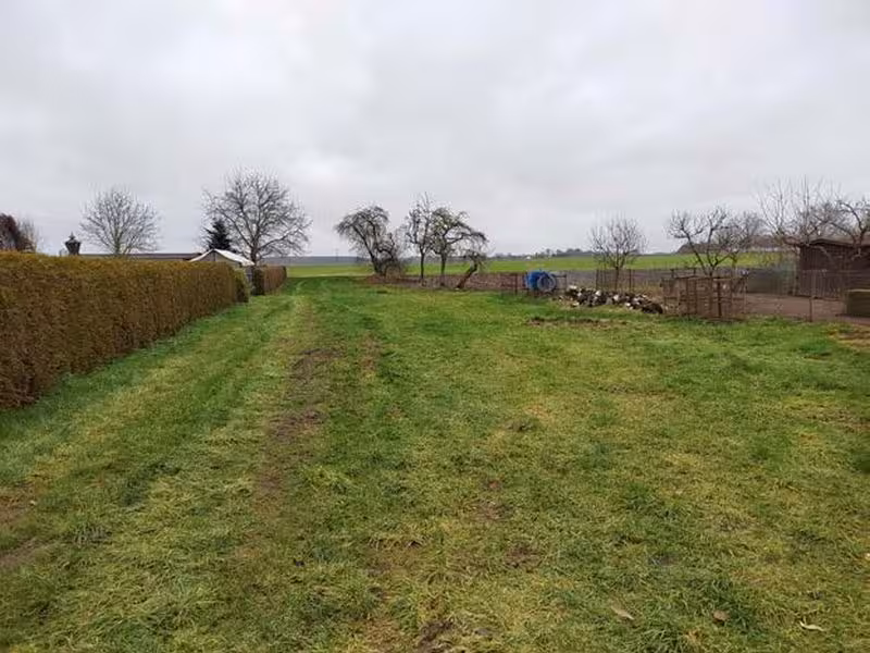 Doppelhaushälfte in Crivitz - Bild 4