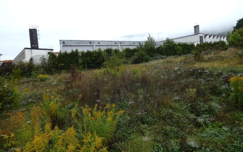 Unbebautes Grundstück in Oberrot - Bild 2