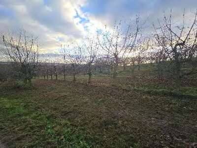 land- und forstwirtschaftlich genutztes Grundstück in Ackerland, Obstb., Sand 3 Gewann, 65201 Wiesbaden, Frauenstein - Bild 1