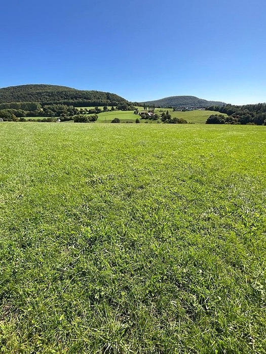 Grünland/Gartenfläche in Aalen - Bild 1