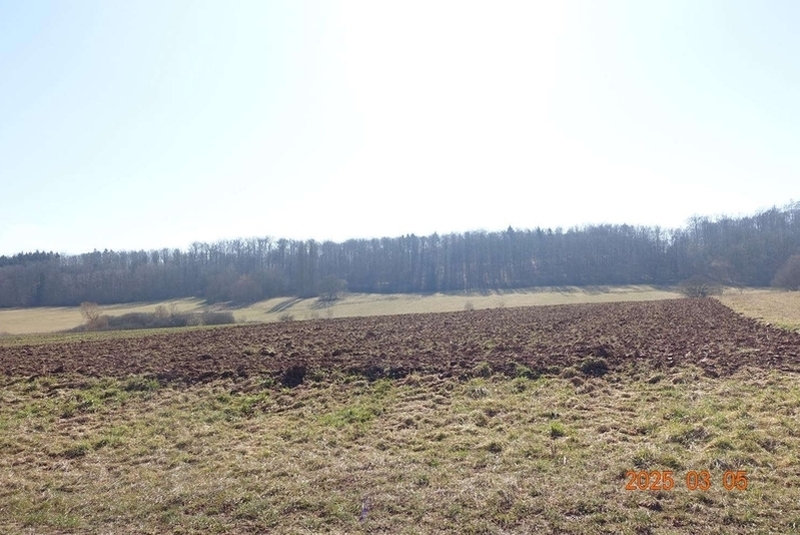 Landwirtschaftsfläche in Böblingen - Bild 2