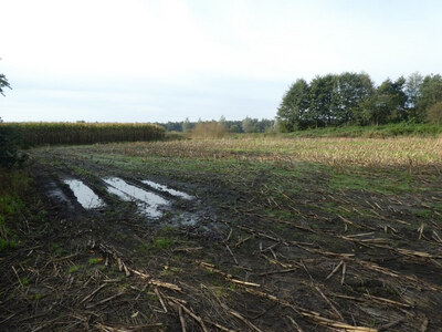 land- und forstwirtschaftlich genutztes Grundstück in Beim Apfelbaum, 26169 Neuscharrel - Bild 2