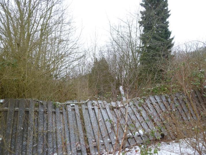 unbebautes Grundstück in Visselhövede - Bild 4