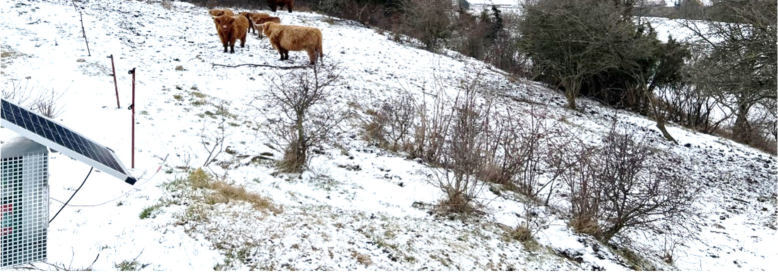 land- und forstwirtschaftlich genutztes Grundstück in Bad Berka - Bild 4
