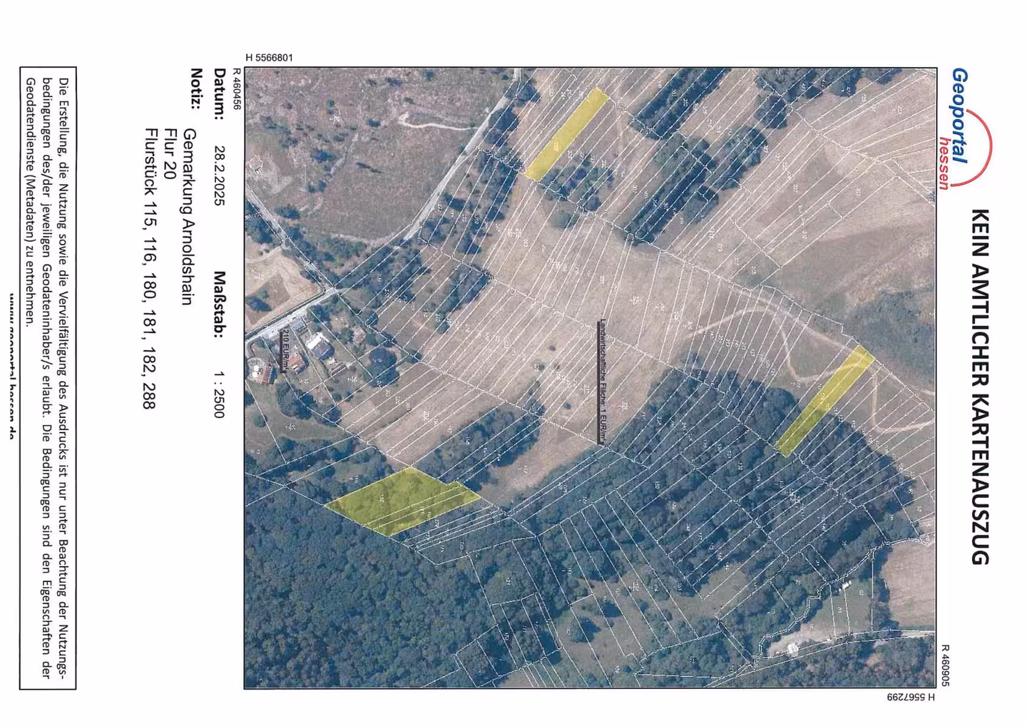 land- und forstwirtschaftlich genutztes Grundstück in Schmitten - Bild 3