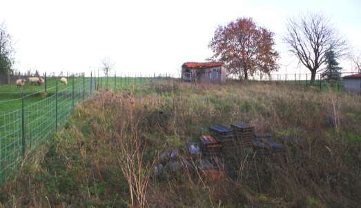 land- und forstwirtschaftlich genutztes Grundstück, Eigentumswohnung (ab 5 Zimmer), Sport-, Freizeit- und Erholungsfläche, Grünanlage genutzt als Wiese in Heinsberg - Bild 2