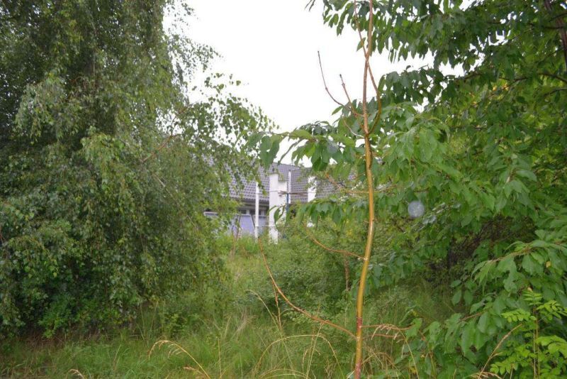 Einfamilienwohnhaus (Bungalow) mit Carport in Dersau - Bild 2