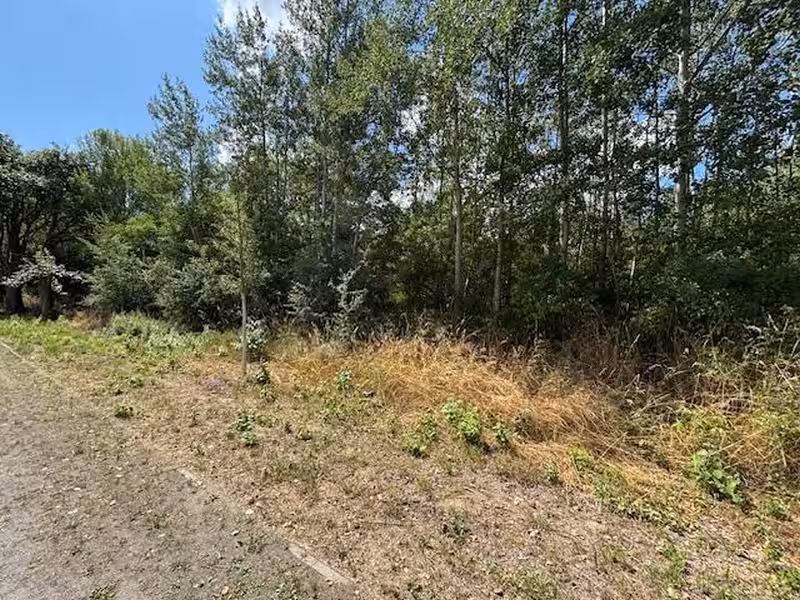 Abgrabungsflächen im Bergwerksfeld 'Neubrandenburg-Spargelberg' in Neubrandenburg - Bild 2