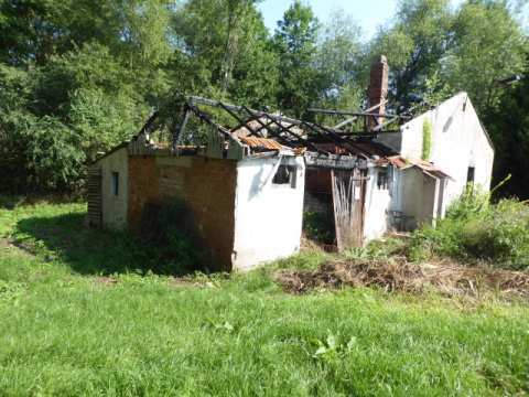 Sonstiges in Amt Wachsenburg - Bild 1