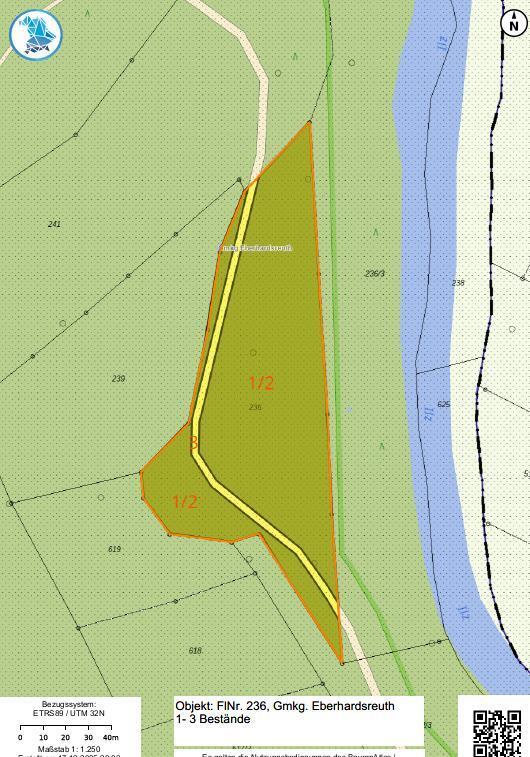 Waldfläche in Schönberg - Bild 1