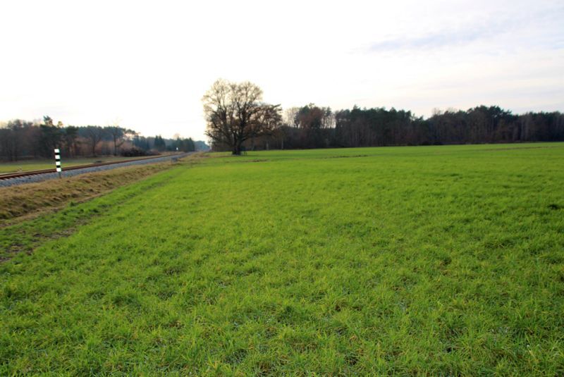 Ackerland in Groß Laasch - Bild 1