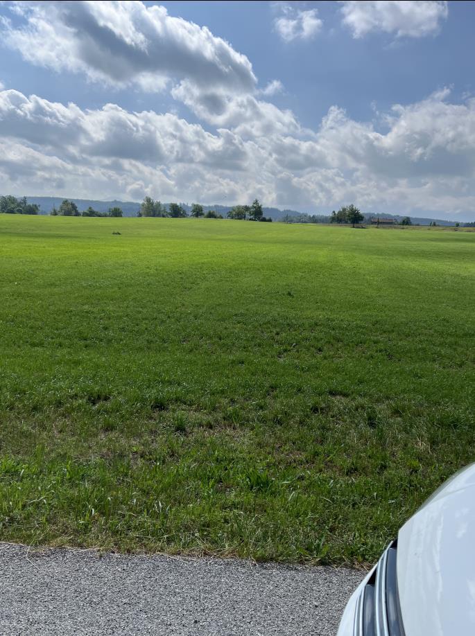 land- und forstwirtschaftlich genutztes Grundstück in Obersöchering - Bild 3