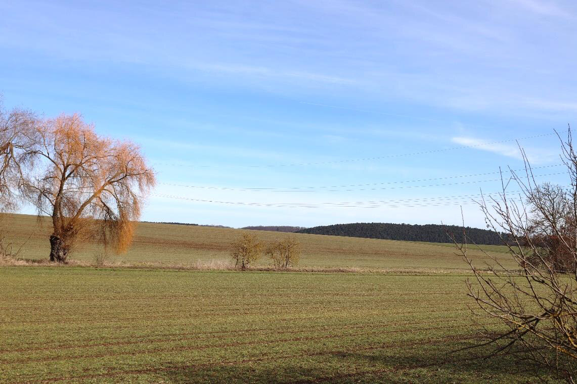 land- und forstwirtschaftlich genutztes Grundstück, Ackerland in An der Poststraße - Bild 2