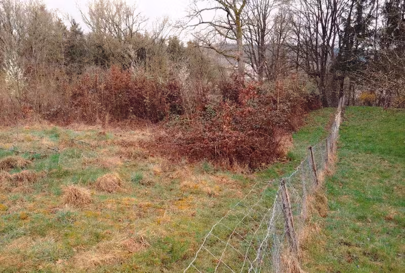Unbebautes Grundstück in Schwäbisch Gmünd - Bild 1