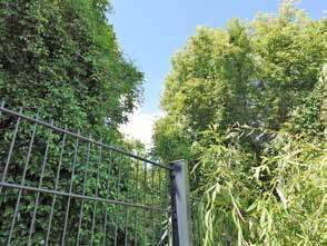 unbebautes Grundstück in Berlin - Bild 2