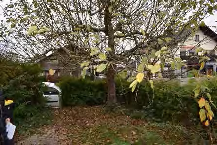Einfamilienhaus in Westerham - Bild 6