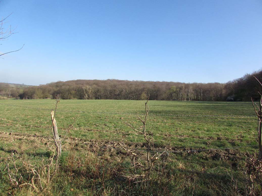 land- und forstwirtschaftlich genutztes Grundstück in Wachtberg - Bild 4