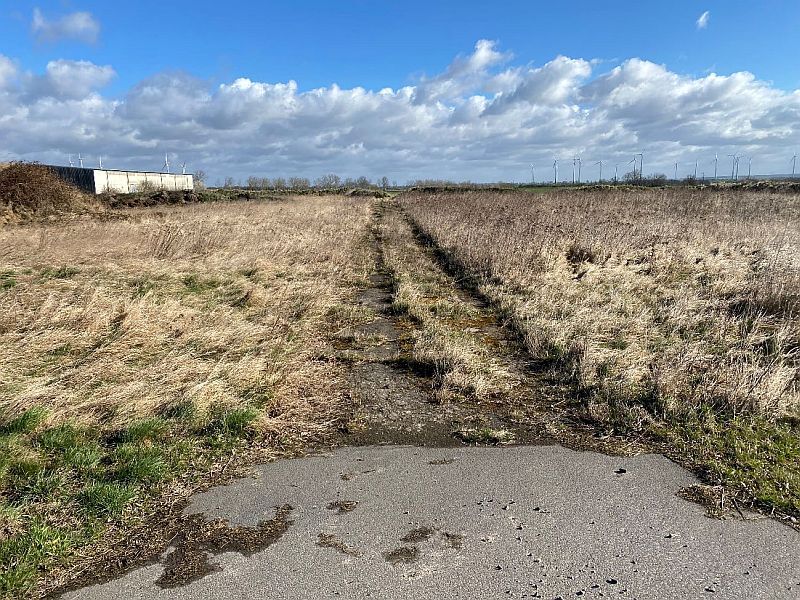 Freifläche in Uckerland - Bild 1