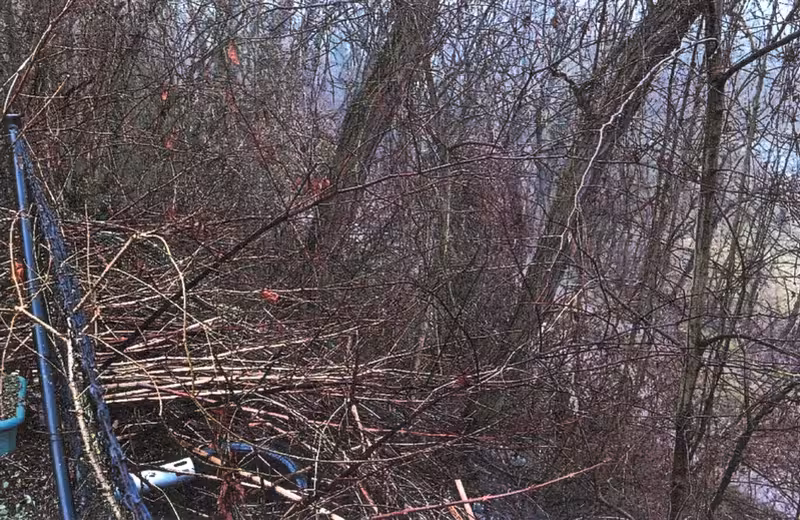 Einfamilienhaus und Nebengelass in Lebus - Bild 2